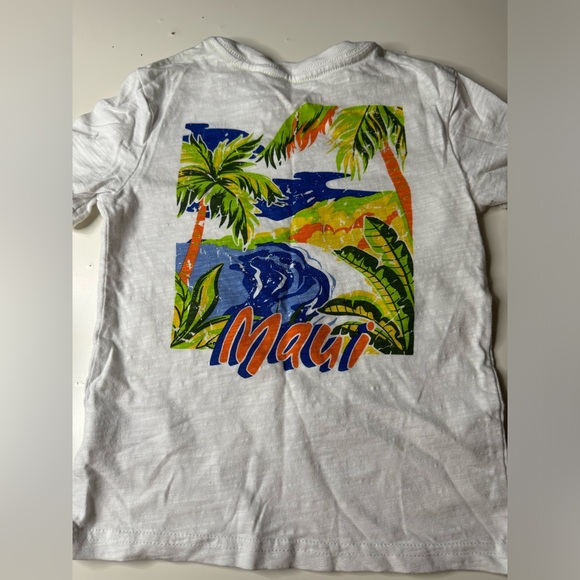 Lot of Boys Size 4 Tshirts. Brands include Hurley, Nike, Gap & Tommy Bahama. - Picture 6 of 6